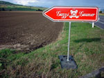 DSC04277.jpg